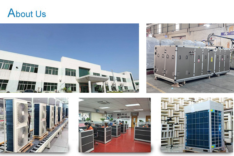 Blueway Manufacturing Facility - Shunde, Foshan