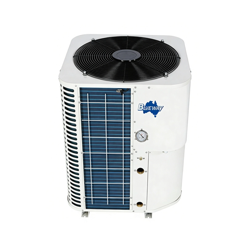 Industrijski zračno hlajeni vodni hladilnik